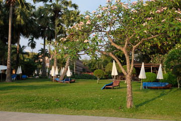 Tropical Garden in Thailand and beach and spa