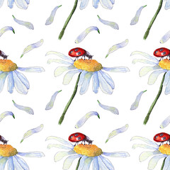 Camomile with ladybug pattern