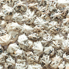  Various sea shells as background 