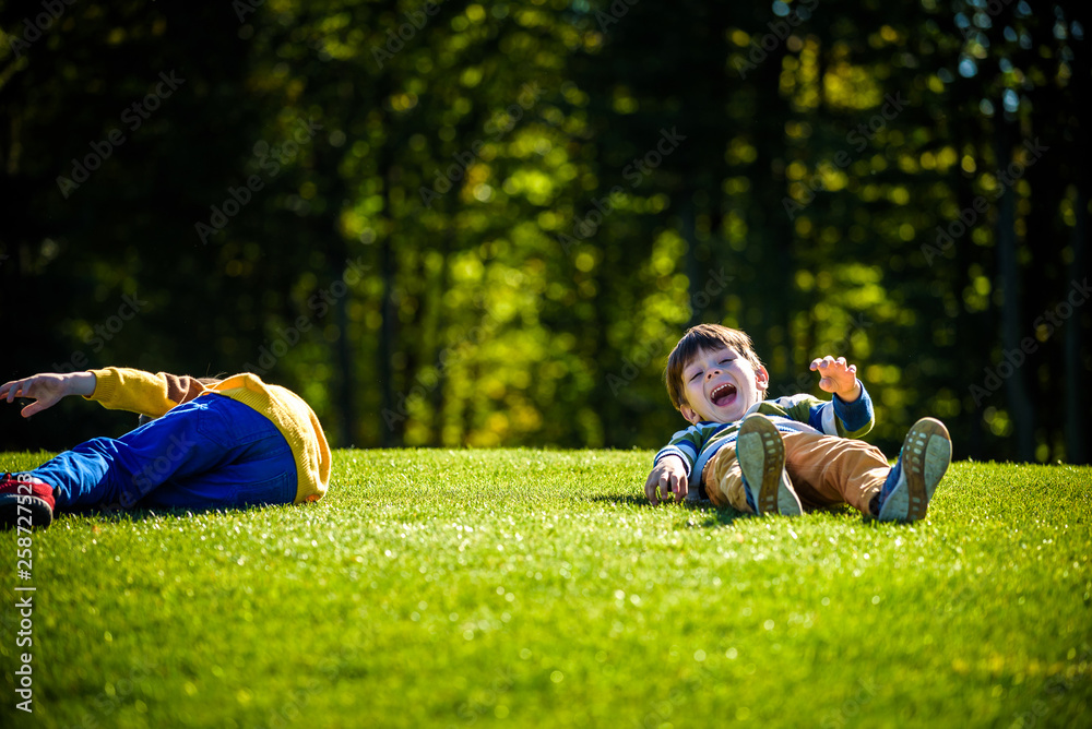 Wall mural two happy boys playing on fresh green grass meadow. tumble and smiling together brothers kids are be