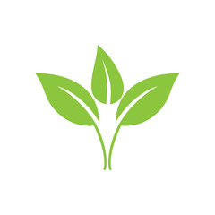 Green leaf, Eco icon. Vector illustration, flat design.