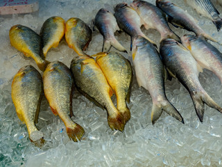 Fresh fishes on ice at seafood market in Hong Kong