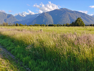 Aoraki Mount Cook behind a huge grassland