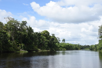 Rio Jari no Munic&iacute;pio de Vit&oacute;ria do Jari na Amaz&ocirc;nia.
