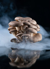 Oyster mushrooms on a mirror on a black background in the smoke. Food, cooking, cooking, organic. Closeup.