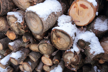 wooden logs, firewood under the spring snow.  slices of wood looks beautiful in the snow