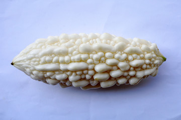 White bitter gourd