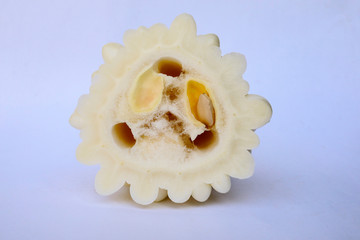 White bitter gourd