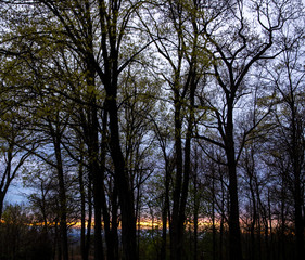 Fototapeta na wymiar pre-sunset in early spring