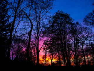 spectacular colorful sunset in the spring