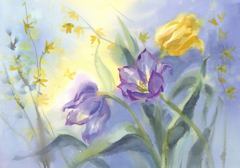 Obraz na płótnie Canvas violet tulips with pussy willow watercolor background