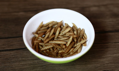 Dried caterpillars on wood background for animal food.