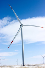 Fototapeta premium Windmühlen im Feld Frühling Stromerzeugung