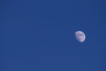 Almost full moon in a blue sky