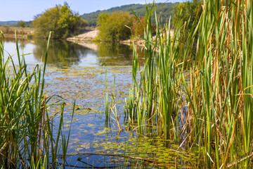 A beautiful small lake in Smilovo, Serbia