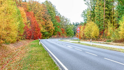 Fototapeta premium Autumn landscape at a street