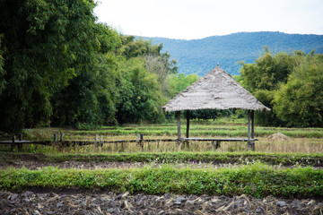 Fototapeta na wymiar farm hut