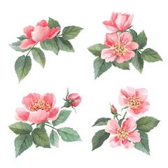Fotobehang Wild roses watercolor set. Flowers, leaves © nataleana