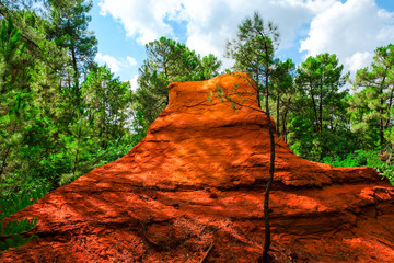 Roussillon ochre deposit: Beautiful green pines and big red rock.