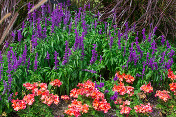 Obraz premium Flower Bed