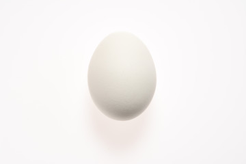 White egg on a white background with shadow