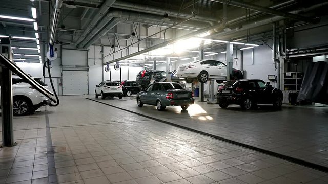 Hangar lots of cars on elevators and on the floor during maintenance. Car repair service