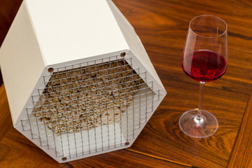 Insect hotel in a room