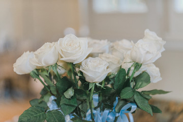 Dozen white roses woth blue ribbons