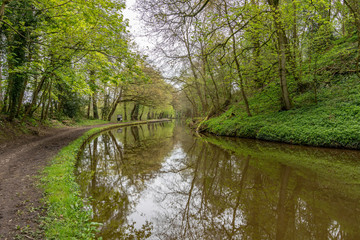 Fototapeta na wymiar The Llangollen Canal near Ellesmere, Shropshire, England, UK