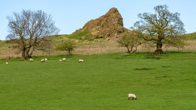 Shropshire landscape near Church Stretton, view towards Hope Bowdler Hill, England, UK
