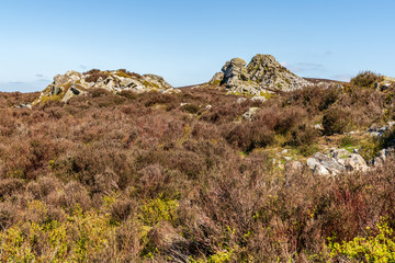 Fototapeta na wymiar Shropshire landscape at the Stiperstones National Nature Reserve, England, UK