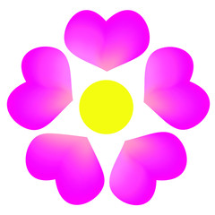 Corolla. Pink spring flower. Isolated flower on white background