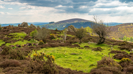 Naklejka premium Shropshire landscape at the Nipstone Rock Local Nature Reserve, England, UK