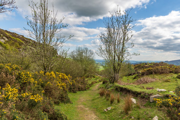 Obraz premium Shropshire landscape at the Nipstone Rock Local Nature Reserve, England, UK