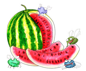 Funny flies and tasty watermelon - 258746952