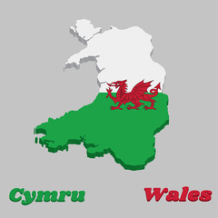 3d Map outline and flag of Wales, consists of a red dragon passant on a green and white field.