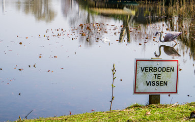 Leaning sign Verboden te vissen or sign fihing prohibited near the pond with artificial flamingo standing half in water