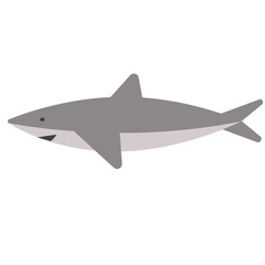 Fototapeta na wymiar Shark flat illustration on white