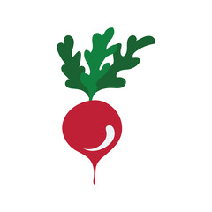 Radishes icon