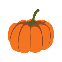 Pumpkin icon