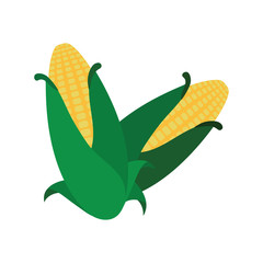 Corn icon