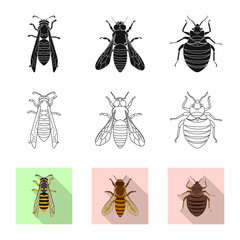 Isolated object of insect and fly sign. Collection of insect and element vector icon for stock.