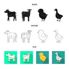 Isolated object of breeding and kitchen  icon. Set of breeding and organic  stock symbol for web.