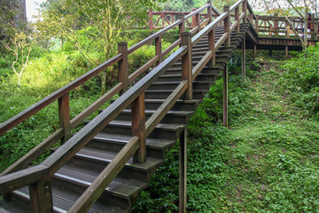 The walkway from wood in taiwan