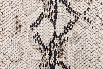 Black and white python skin texture