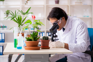 Biotechnology chemist working in lab