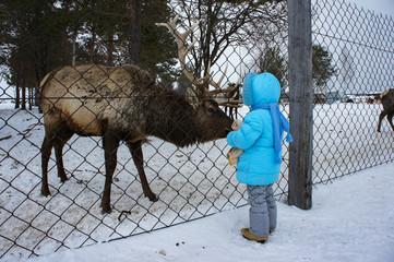Baby girl feeding a deer on a winter day.