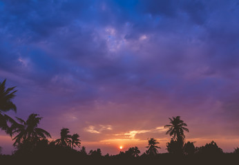 Sunset Sunrise Over Field and Coconut tree