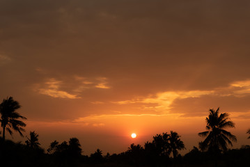 Fototapeta premium Zachód słońca Wschód słońca nad polem i drzewem kokosowym