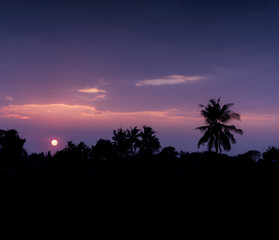 Sunset Sunrise Over Field and Coconut tree